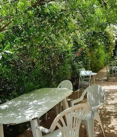 Le Temps Des Cerises. *